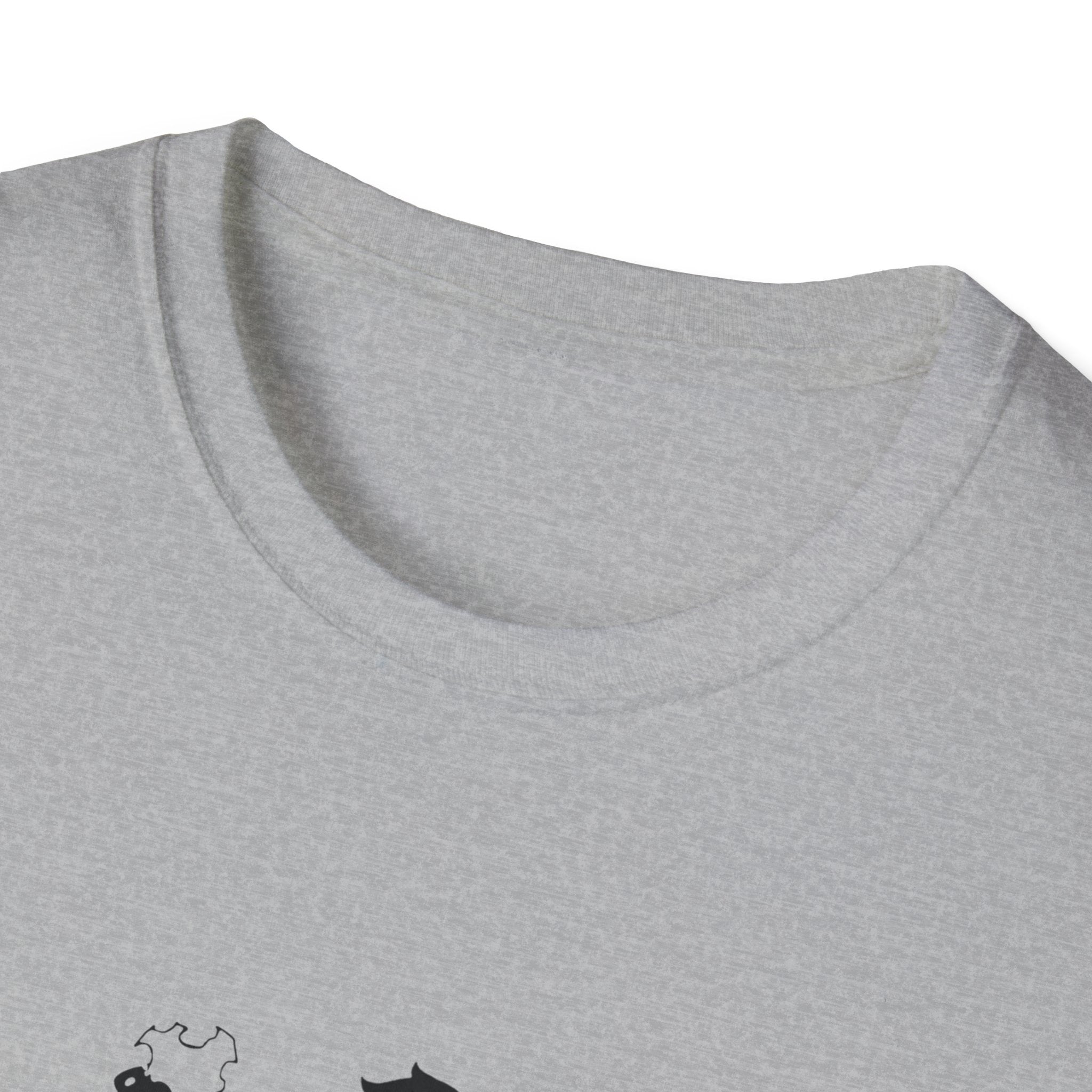Arise Sung Jinwoo & Friend T-Shirt, Solo Leveling Anime Shirt, Shadow Monarch Graphic Tee, Japanese Manga Otaku Gift, Webtoon Fan Apparel
